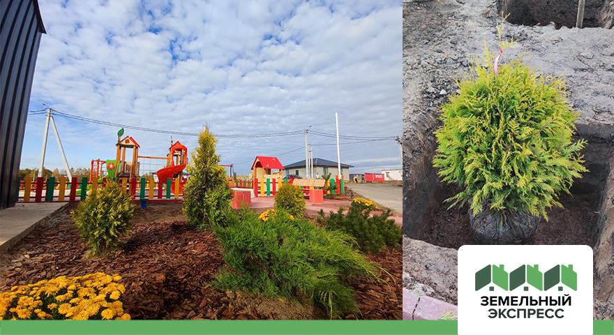 Работы по благоустройству территории в поселке «Рэд»